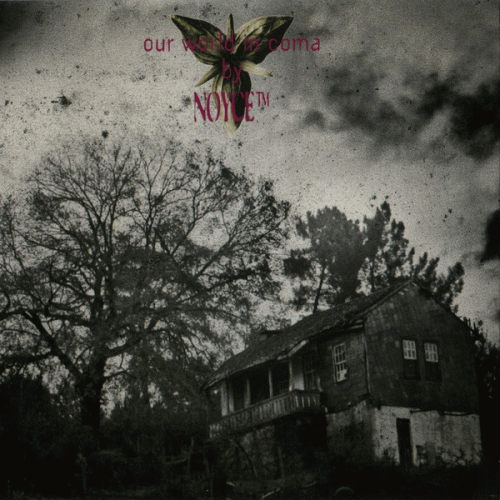 Noyce TM : Our World in Coma